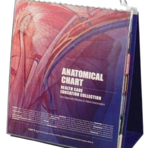 spiral-bound, anatomical, chart, health transparent PNG cut-out