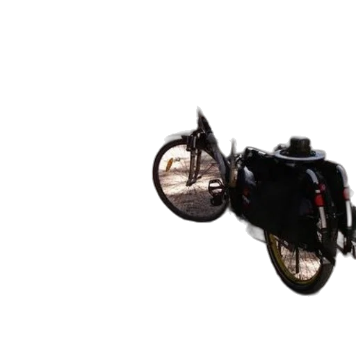 car, weapon, jacket, animal transparent PNG cut-out