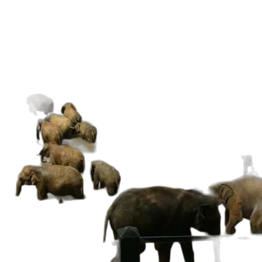 animal, creature, concept art, 3d render transparent PNG cut-out