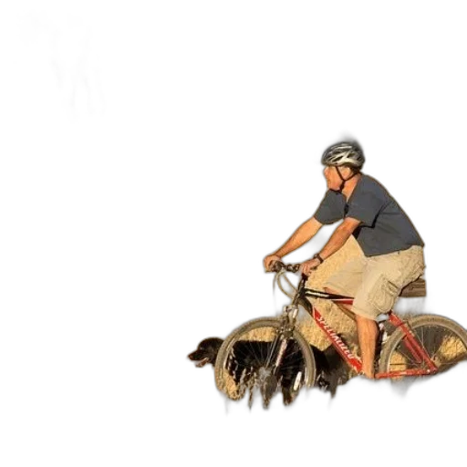 animal, creature, weapon, car transparent PNG cut-out