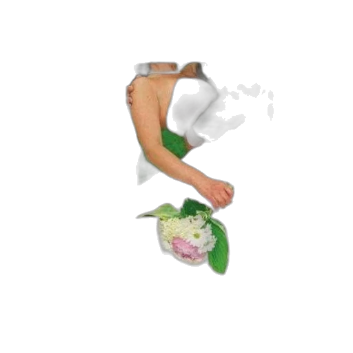 food, shoes, staff, weapon transparent PNG cut-out