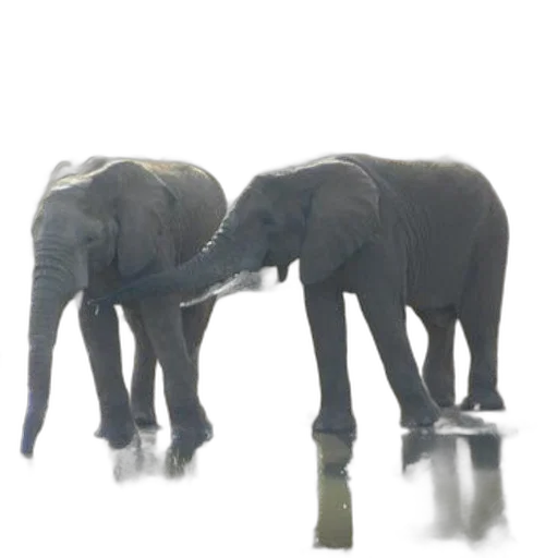 animal, staff, 3d render, concept art transparent PNG cut-out