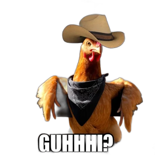animal, hat, jacket, robot transparent PNG cut-out