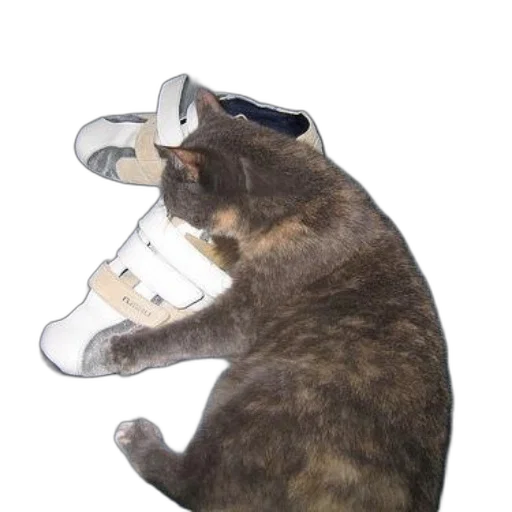 shoes, hat, mask, bottle transparent PNG cut-out