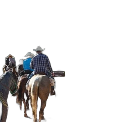 hat, animal, group, people transparent PNG cut-out