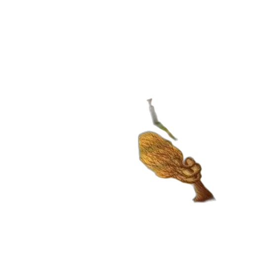 flower, food, staff, weapon transparent PNG cut-out