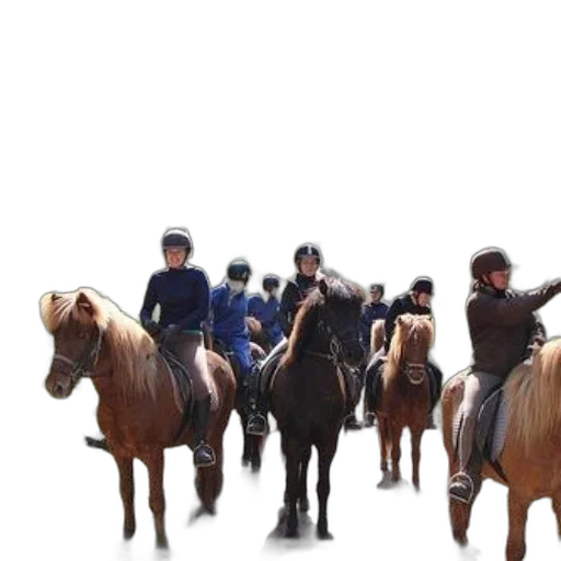 animal, staff, hat, concept art transparent PNG cut-out