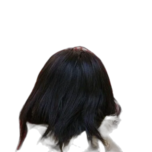 hair, hat, animal, crown transparent PNG cut-out