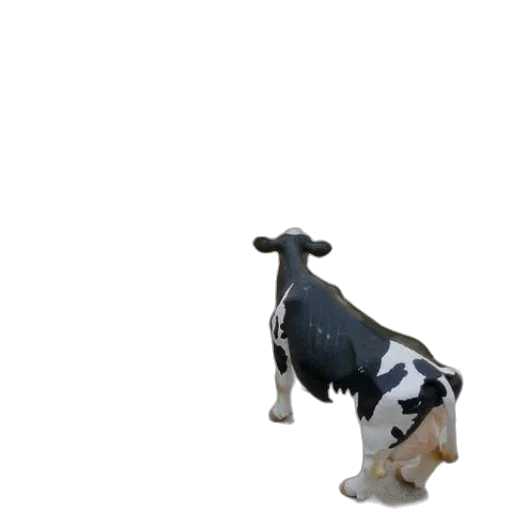 animal, creature, food, robot transparent PNG cut-out