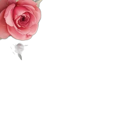 flower, jewelry, staff, crown transparent PNG cut-out