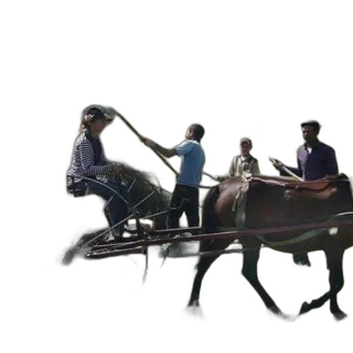 staff, weapon, furniture, animal transparent PNG cut-out