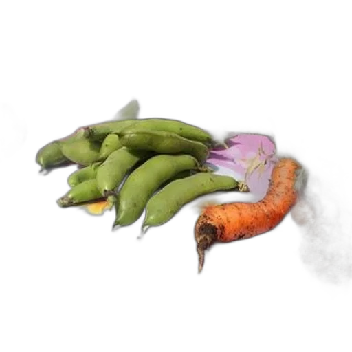 food, dragon, weapon, hair transparent PNG cut-out