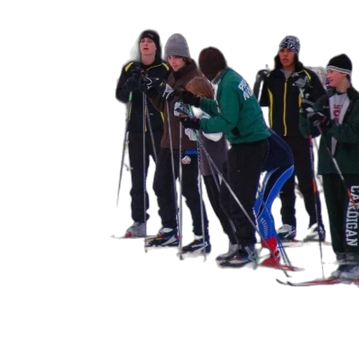 staff, snow, group, skiers transparent PNG cut-out