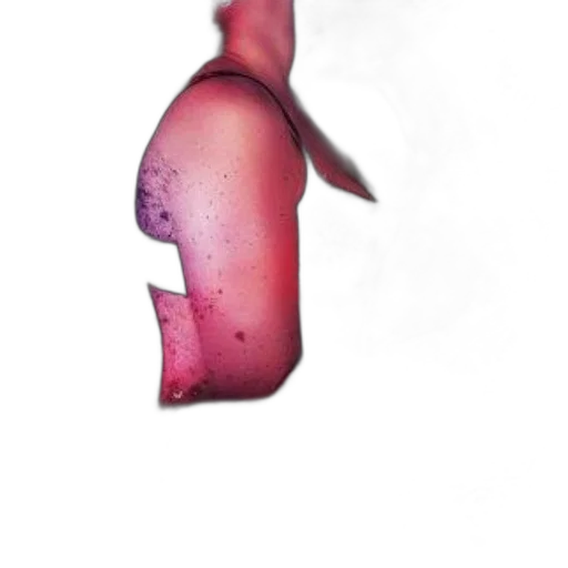 bottle, animal, face, mask transparent PNG cut-out