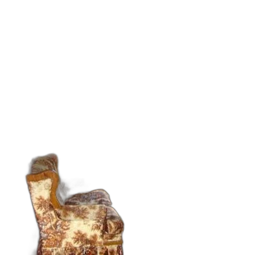 shoes, furniture, animal, food transparent PNG cut-out