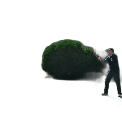 tree, staff, hair, creature transparent PNG cut-out
