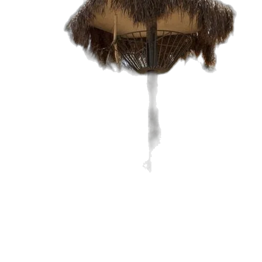 hair, hat, umbrella, crown transparent PNG cut-out