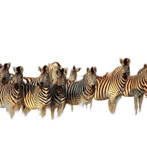 animal, creature, staff, jewelry transparent PNG cut-out