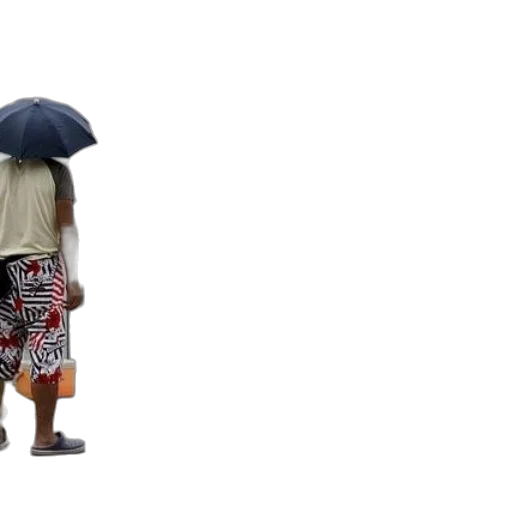 umbrella, dress, hair, jacket transparent PNG cut-out