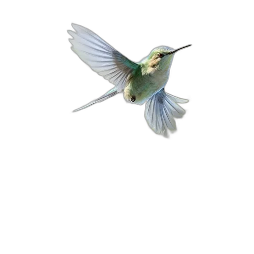 animal, staff, dragon, weapon transparent PNG cut-out
