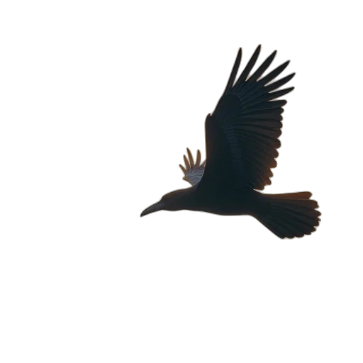 animal, creature, dragon, staff transparent PNG cut-out