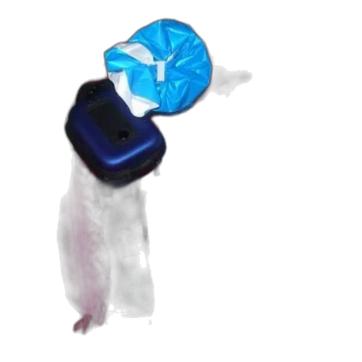 jewelry, umbrella, staff, hat transparent PNG cut-out