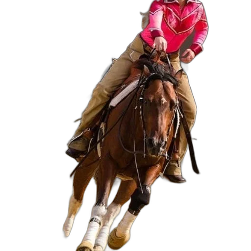 jacket, animal, staff, photorealistic transparent PNG cut-out