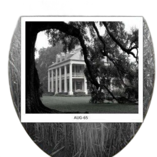 building, tree, crown, furniture transparent PNG cut-out
