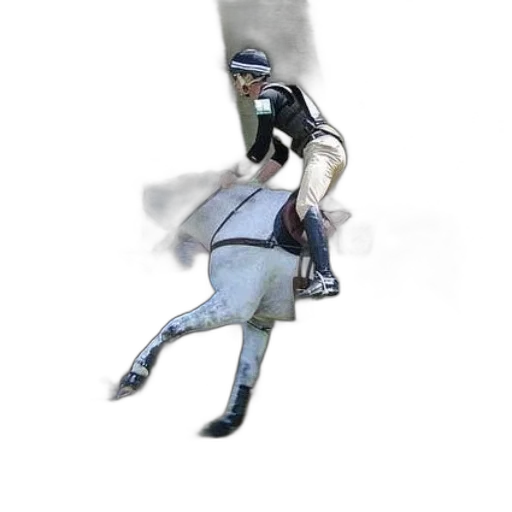 staff, animal, hat, sword transparent PNG cut-out