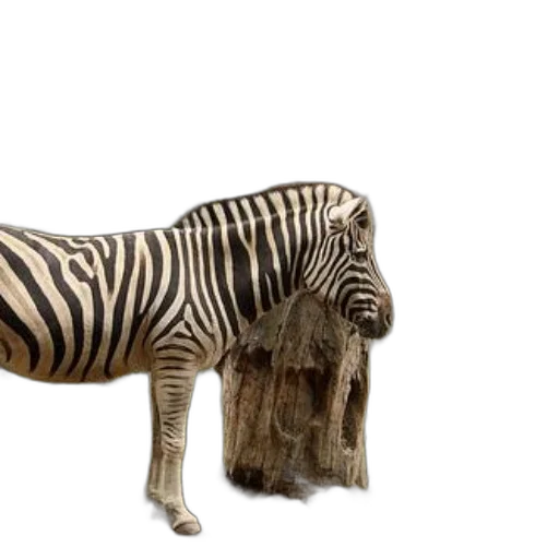 animal, creature, weapon, furniture transparent PNG cut-out