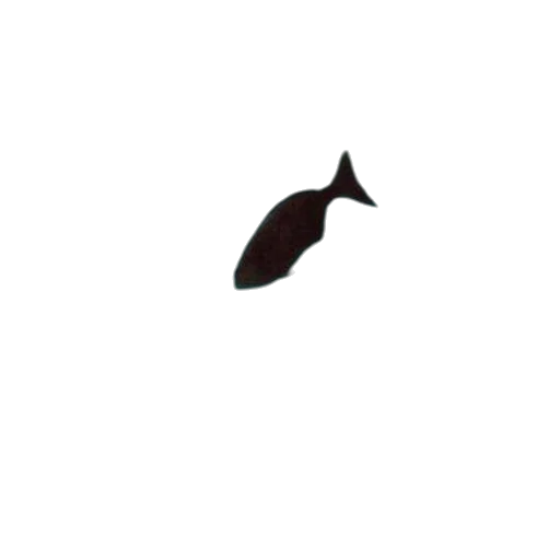 hat, animal, staff, shoes transparent PNG cut-out