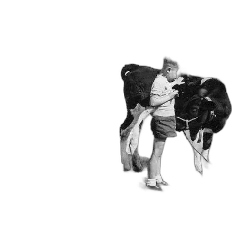 animal, umbrella, creature, car transparent PNG cut-out