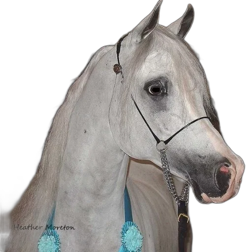 jewelry, animal, crown, staff transparent PNG cut-out