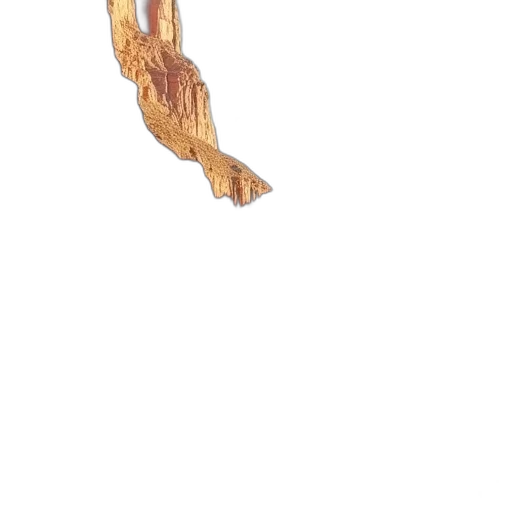 animal, shoes, hair, dragon transparent PNG cut-out