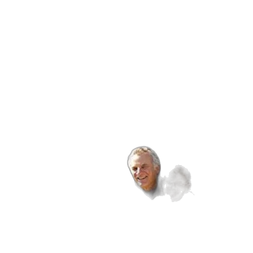 hair, face, creature, mask transparent PNG cut-out