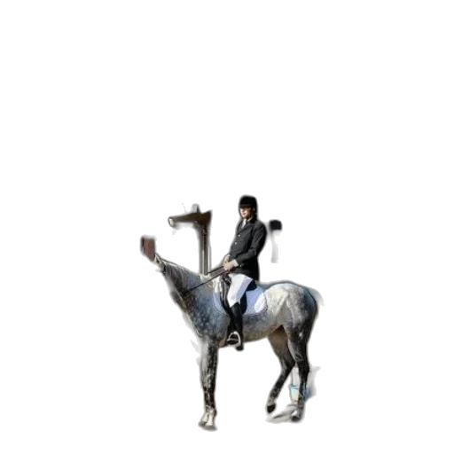 staff, animal, hat, jacket transparent PNG cut-out