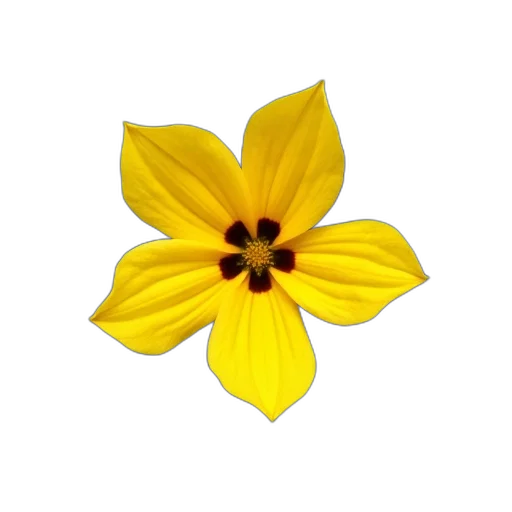 flower, crown, jewelry, staff transparent PNG cut-out
