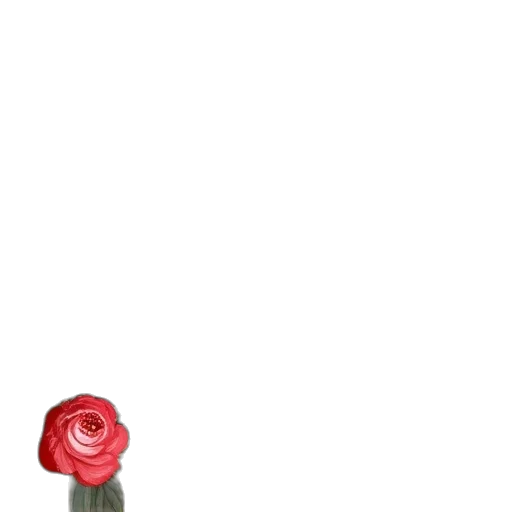 flower, staff, hat, weapon transparent PNG cut-out