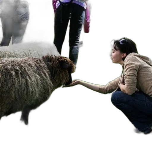 animal, creature, photorealistic, woman transparent PNG cut-out