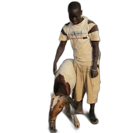 animal, staff, creature, photorealistic transparent PNG cut-out