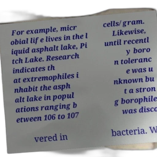 bottle, text-based, image, discussing transparent PNG cut-out