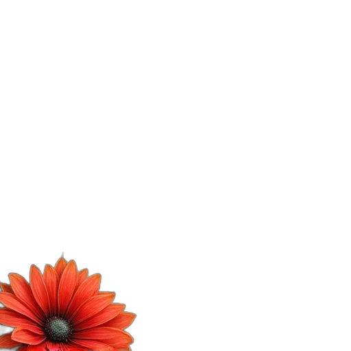 flower, crown, dress, umbrella transparent PNG cut-out