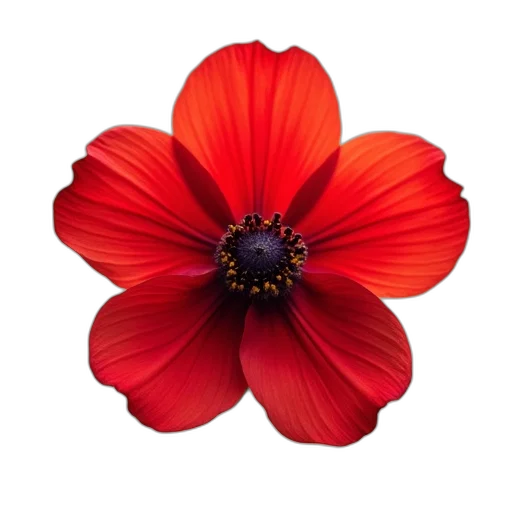 flower, crown, jewelry, staff transparent PNG cut-out