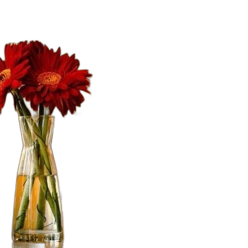flower, bottle, crown, photorealistic transparent PNG cut-out