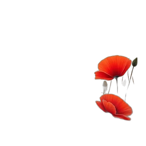 flower, crown, hat, weapon transparent PNG cut-out
