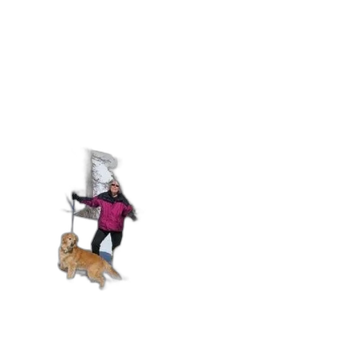 staff, animal, robot, umbrella transparent PNG cut-out