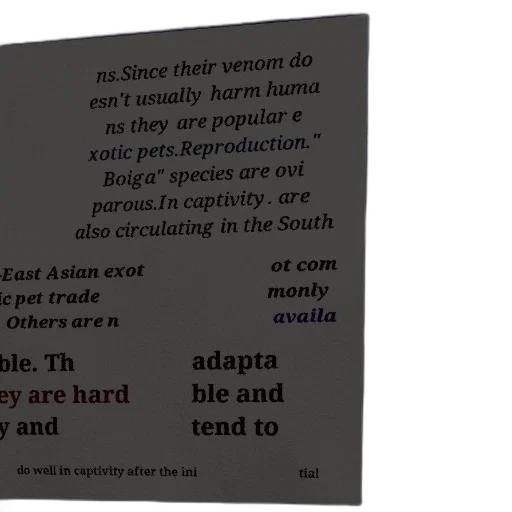 animal, text-based, image, discussing transparent PNG cut-out