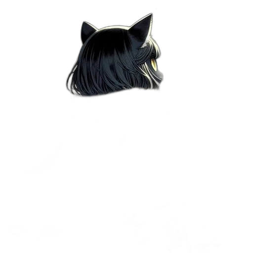 hair, crown, hat, mask transparent PNG cut-out