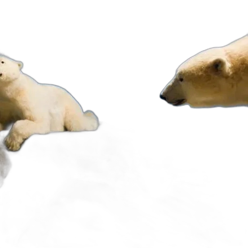 animal, creature, 3d render, concept art transparent PNG cut-out
