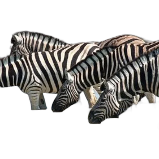 animal, creature, furniture, jewelry transparent PNG cut-out